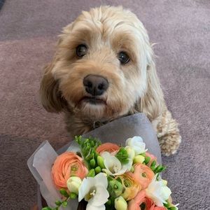 Meet your Posher, Christine